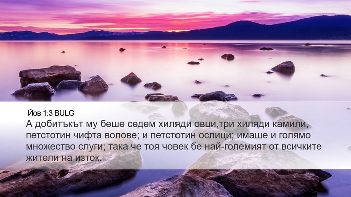 Йов 1:3 BULG Bible Verse Image