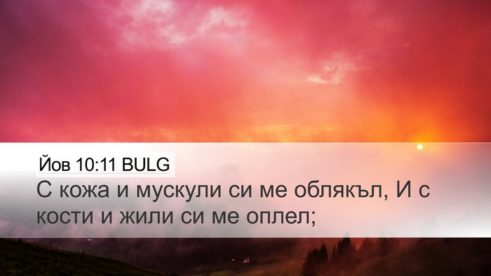 Йов 10:11 BULG Desktop Wallpaper - С кожа и мускули си ме - Desktop Bible Verse Wallpaper