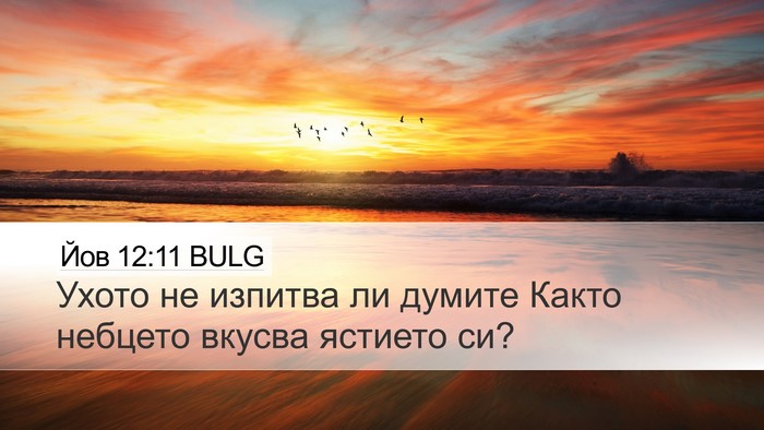 Йов 12:11 BULG Desktop Wallpaper - Ухото не изпитва ли думите - Desktop Bible Verse Wallpaper