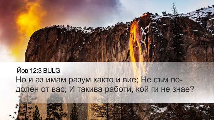 Йов 12:3 BULG Bible Verse Image