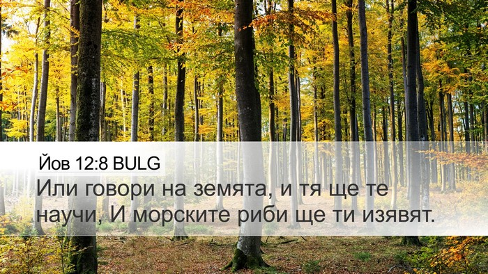 Йов 12:8 BULG Bible Verse Image