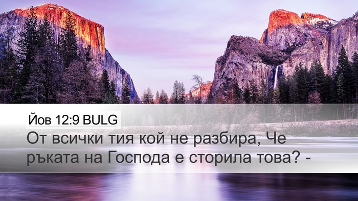 Йов 12:9 BULG Desktop Wallpaper - От всички тия кой не - Desktop Bible Verse Wallpaper