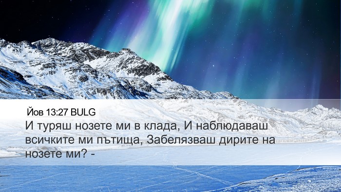Йов 13:27 BULG Bible Verse Image