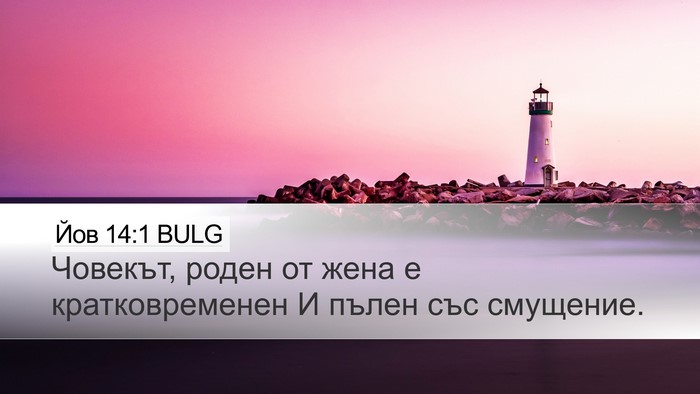 Йов 14:1 BULG Bible Verse Image