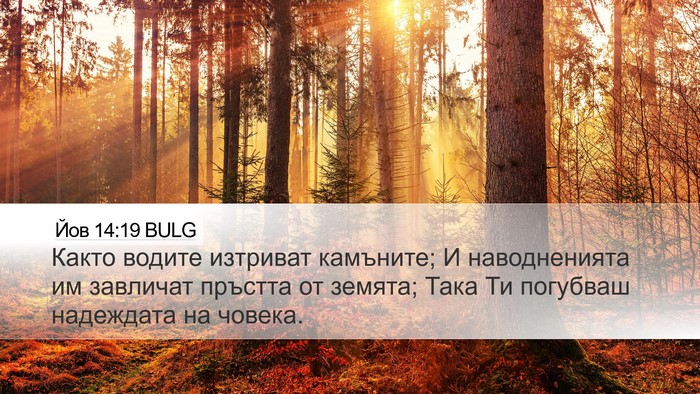 Йов 14:19 BULG Bible Verse Image