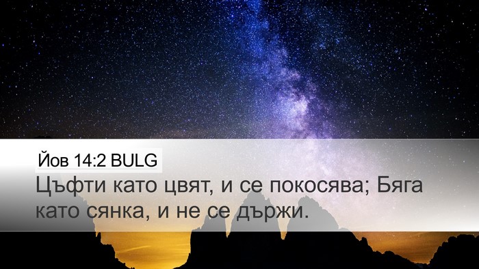 Йов 14:2 BULG Bible Verse Image