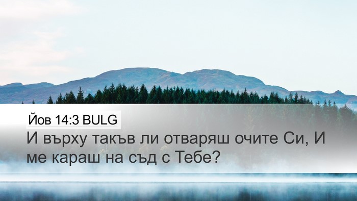 Йов 14:3 BULG Bible Verse Image