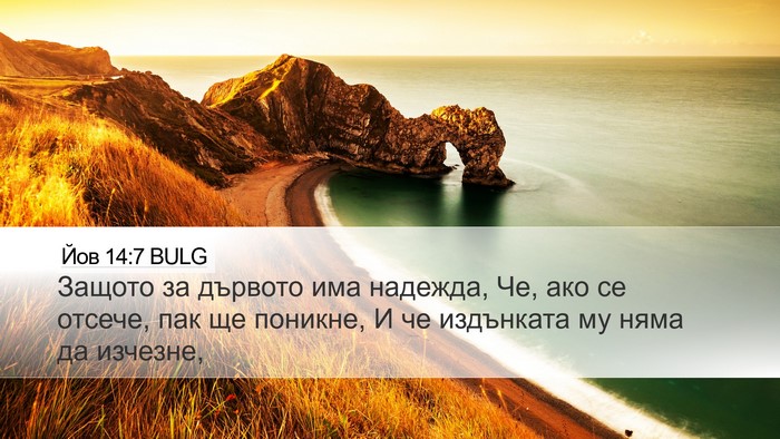 Йов 14:7 BULG Bible Verse Image