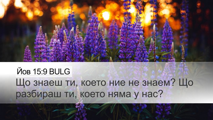 Йов 15:9 BULG Bible Verse Image