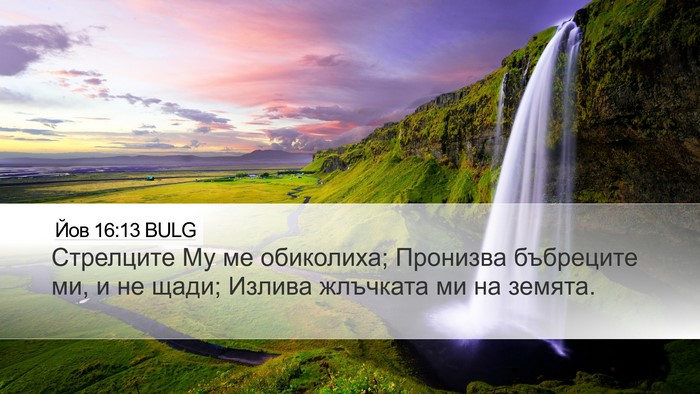 Йов 16:13 BULG Bible Verse Image