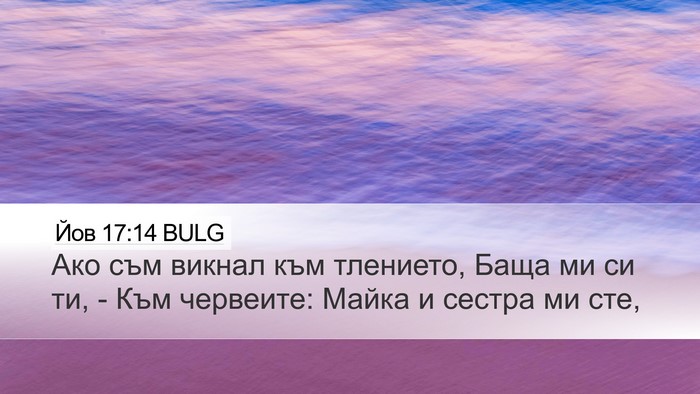 Йов 17:14 BULG Bible Verse Image