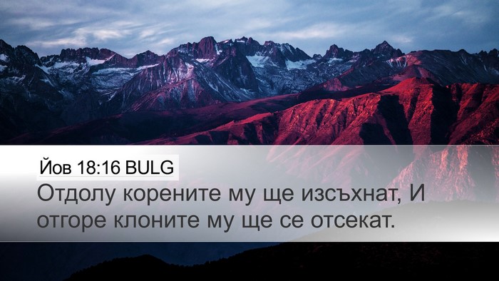 Йов 18:16 BULG Bible Verse Image