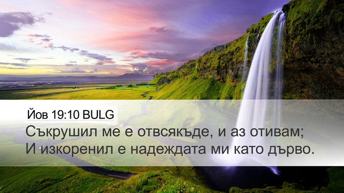 Йов 19:10 BULG Bible Verse Image