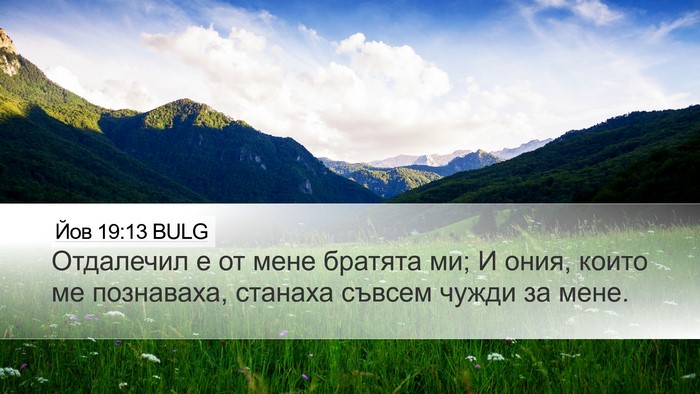 Йов 19:13 BULG Bible Verse Image