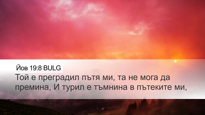 Йов 19:8 BULG Bible Verse Image