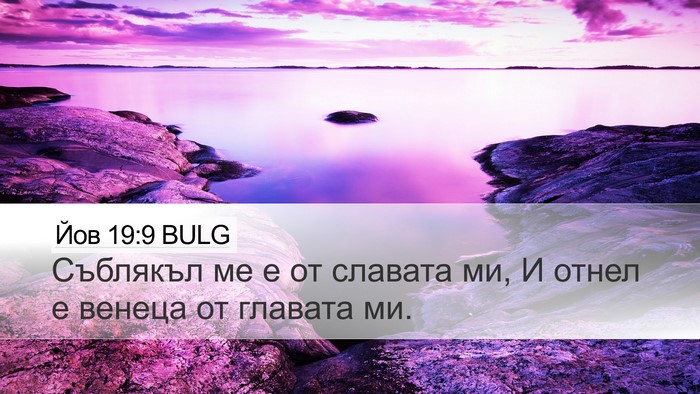 Йов 19:9 BULG Bible Verse Image
