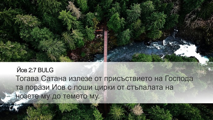 Йов 2:7 BULG Bible Verse Image