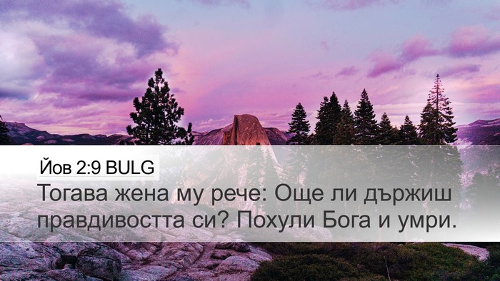 Йов 2:9 BULG Bible Verse Image