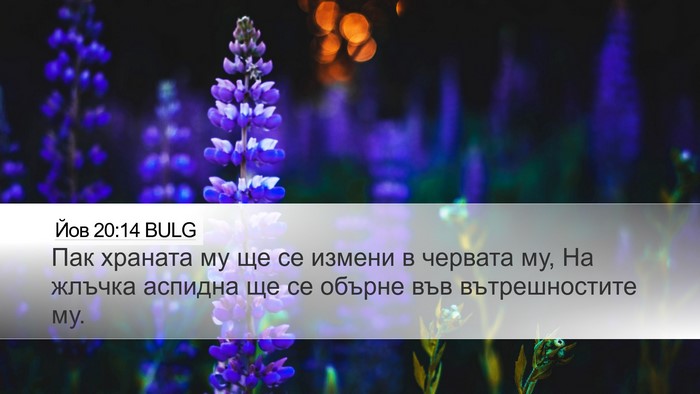Йов 20:14 BULG Bible Verse Image