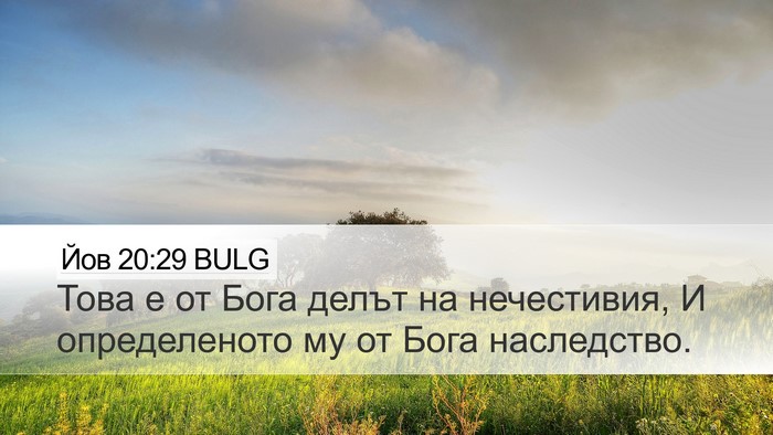 Йов 20:29 BULG Bible Verse Image