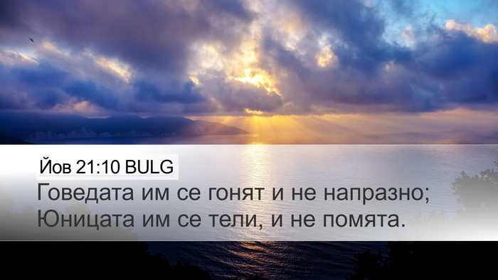Йов 21:10 BULG Bible Verse Image