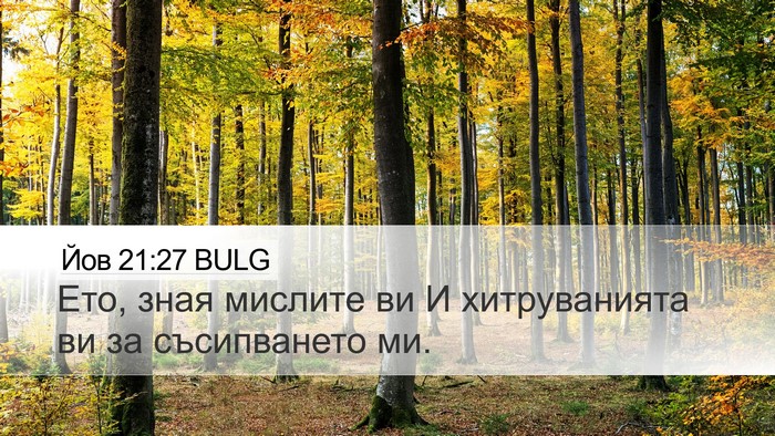 Йов 21:27 BULG Bible Verse Image