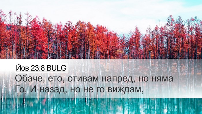 Йов 23:8 BULG Bible Verse Image