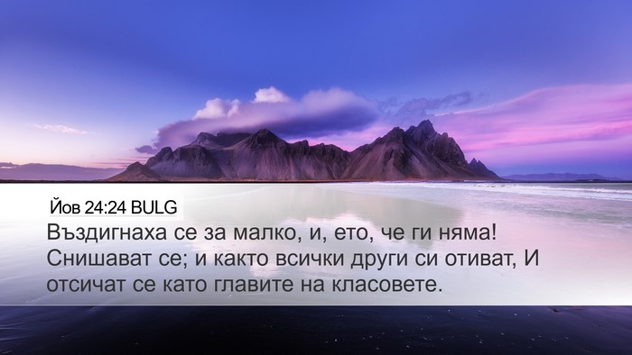 Йов 24:24 BULG Bible Verse Image