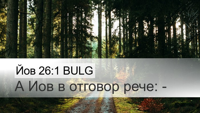 Йов 26:1 BULG Bible Verse Image