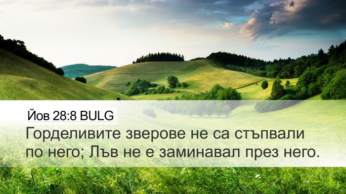 Йов 28:8 BULG Desktop Wallpaper - Горделивите зверове не са - Desktop Bible Verse Wallpaper