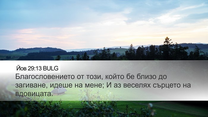Йов 29:13 BULG Bible Verse Image