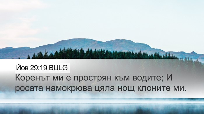 Йов 29:19 BULG Bible Verse Image