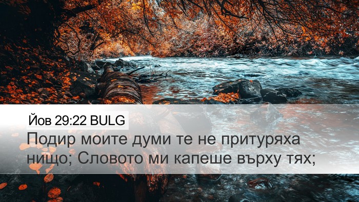 Йов 29:22 BULG Bible Verse Image