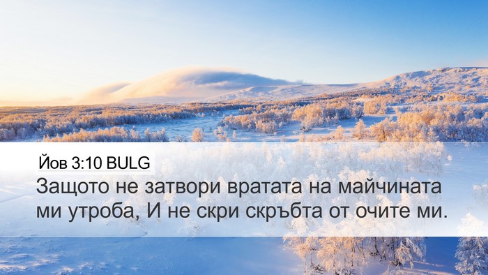 Йов 3:10 BULG Bible Verse Image