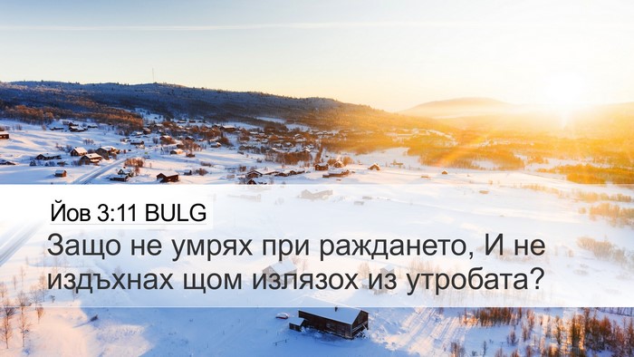Йов 3:11 BULG Bible Verse Image