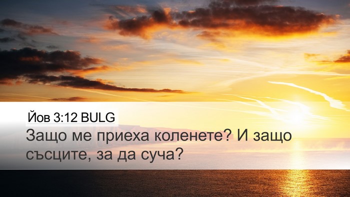 Йов 3:12 BULG Desktop Wallpaper - Защо ме приеха коленете? И - Desktop Bible Verse Wallpaper