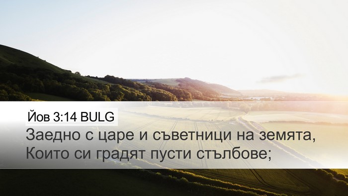 Йов 3:14 BULG Bible Verse Image