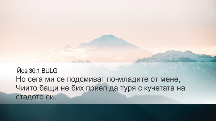 Йов 30:1 BULG Bible Verse Image