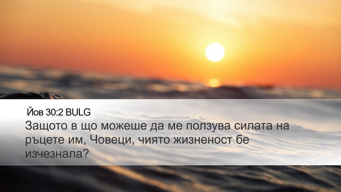 Йов 30:2 BULG Desktop Wallpaper - Защото в що можеше да ме - Desktop Bible Verse Wallpaper