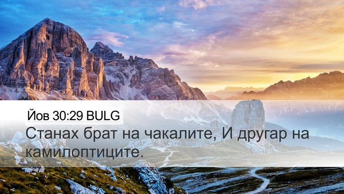 Йов 30:29 BULG Bible Verse Image