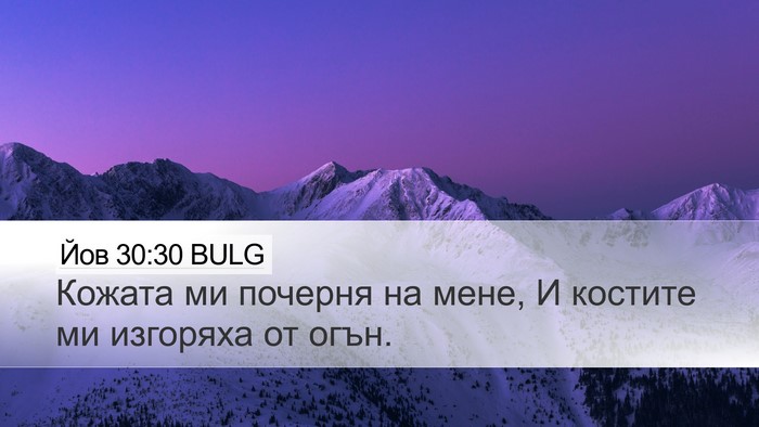 Йов 30:30 BULG Bible Verse Image