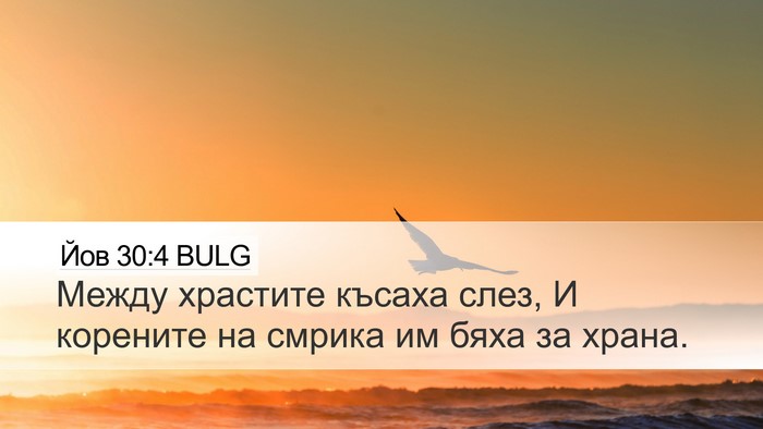 Йов 30:4 BULG Desktop Wallpaper - Между храстите късаха - Desktop Bible Verse Wallpaper