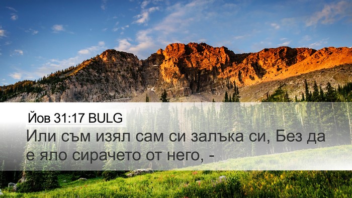 Йов 31:17 BULG Bible Verse Image