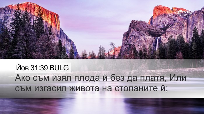 Йов 31:39 BULG Bible Verse Image