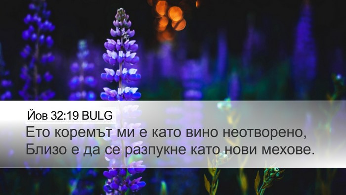 Йов 32:19 BULG Bible Verse Image