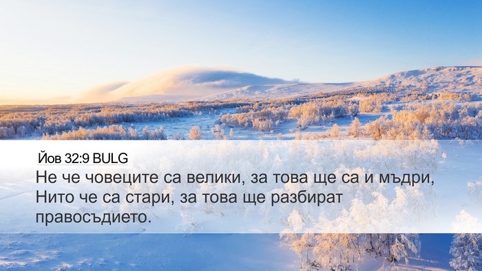 Йов 32:9 BULG Bible Verse Image