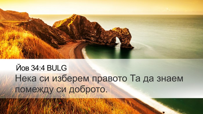 Йов 34:4 BULG Desktop Wallpaper - Нека си изберем правото Та - Desktop Bible Verse Wallpaper