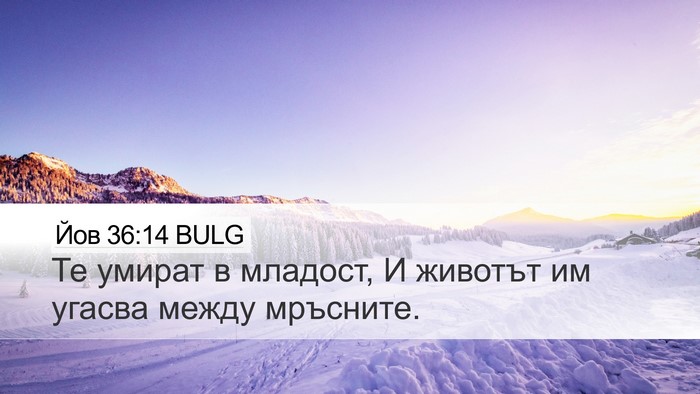Йов 36:14 BULG Bible Verse Image