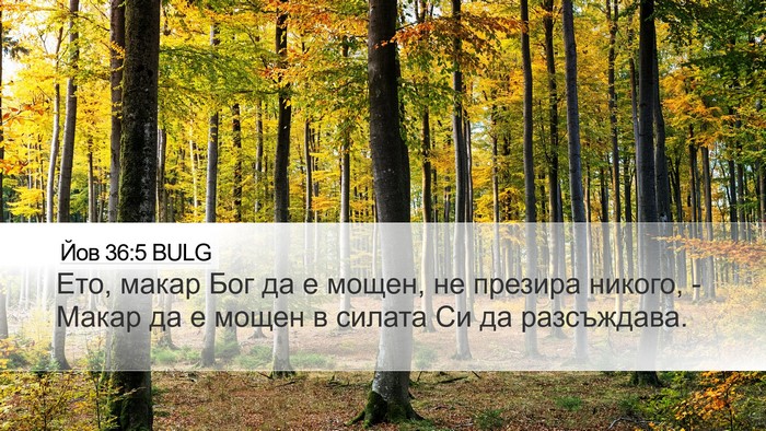 Йов 36:5 BULG Bible Verse Image