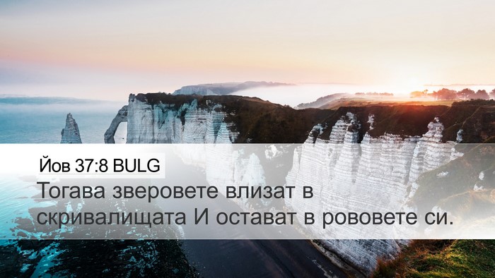 Йов 37:8 BULG Desktop Wallpaper - Тогава зверовете влизат в - Desktop Bible Verse Wallpaper